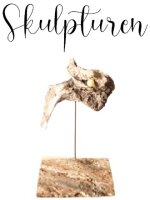Skulpturen