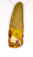 Schmuck Halskette aus Treibholz und baltischem Bernstein D7