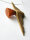 Bernstein Collier Anhänger Treibholz ORANGE naturbelassen Neu Unikat 20636