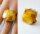 Ring Bernstein Silber 925 GELB Damenring Unisex Neu R43